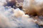 Greenpeace: в Амурской области пытаются скрыть крупный лесной пожар