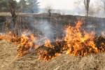 Ситуация с пожарами в Приамурье по-прежнему остается крайне сложной и напряженной