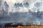 В региональном штабе по тушению лесных пожаров подвели предварительные итоги весеннего пожароопасного сезона 2014 года