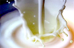 Потребление молочных продуктов сокращает риск развития рака, инсульта и диабета
