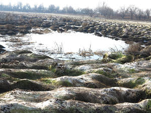 Многим водным объектам Амурской области грозит экологическая катастрофа
