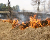 Ситуация с пожарами в Приамурье по-прежнему остается крайне сложной и напряженной