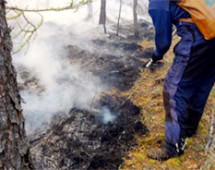 В Амурской области лесные пожары тушат с воздуха