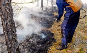 В Амурской области лесные пожары тушат с воздуха