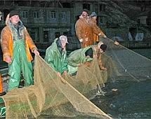 Амурским рыбакам разрешили выловить в 2015 двести тонн рыбы
