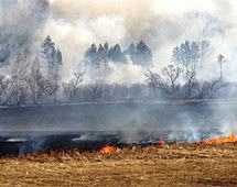 В региональном штабе по тушению лесных пожаров подвели предварительные итоги весеннего пожароопасного сезона 2014 года