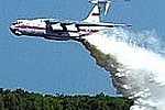 «Гринпис» снова раскритиковал тушение пожаров в Приамурье
