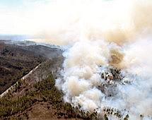 Количество пожаров в лесах в Амурской области увеличилось в три раза