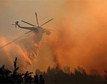 Власти пяти регионов России занизили в 1,7 раза данные о площадях лесных пожаров