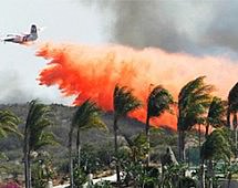 В Калифорнии бушуют сильные лесные пожары
