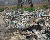 Несколько районов Приморского края утопают в мусоре
