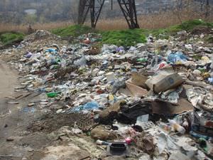 Несколько районов Приморского края утопали в мусоре